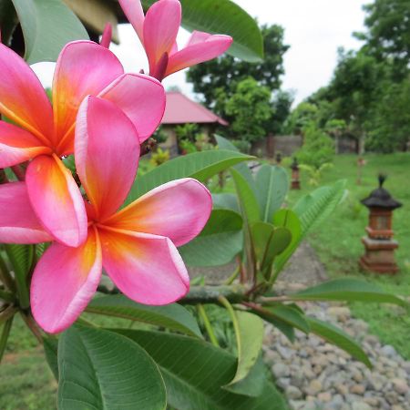 ホテル Tegal Sari, Pemuteran- North Bali エクステリア 写真