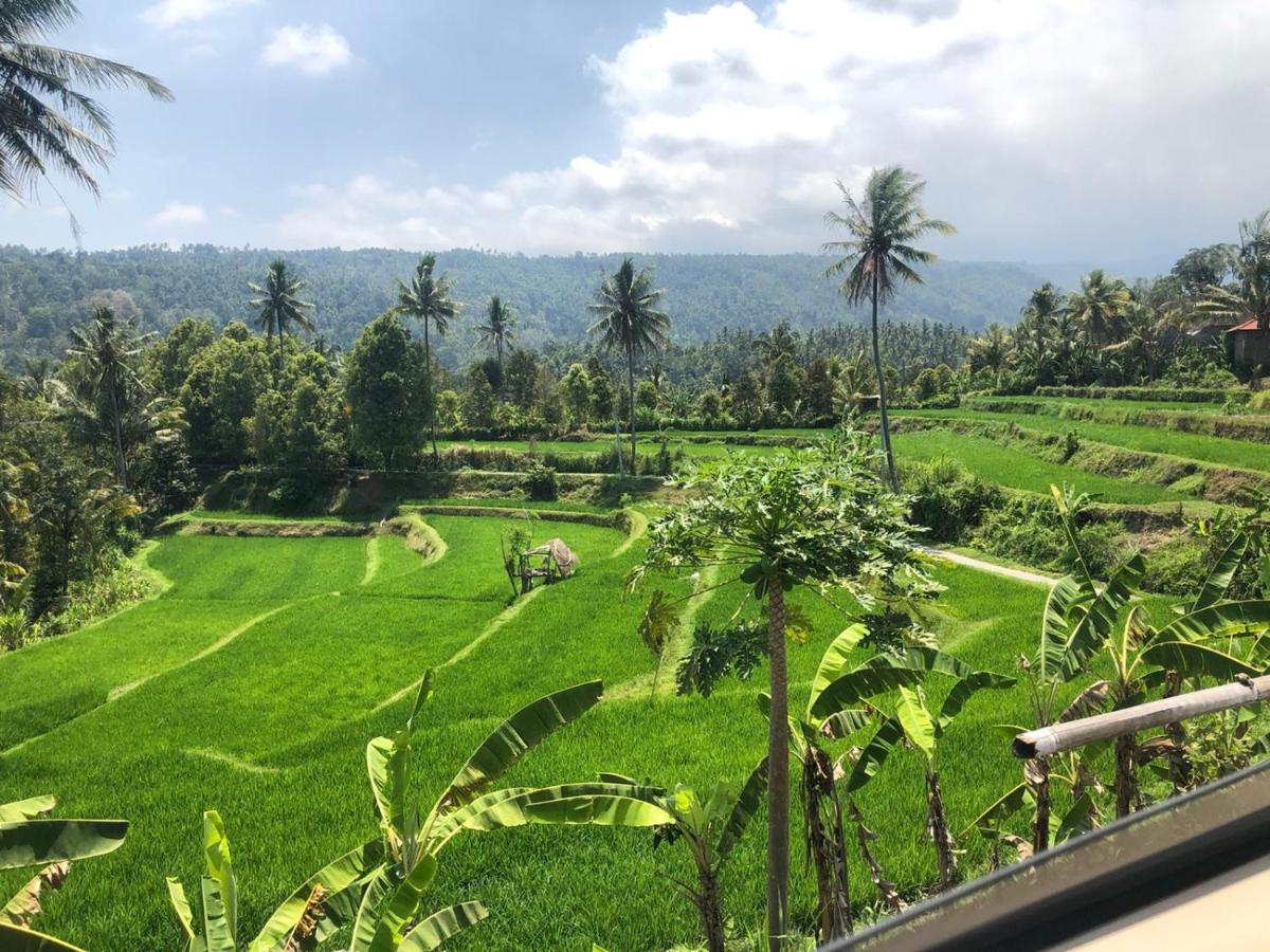 ホテル Tegal Sari, Pemuteran- North Bali エクステリア 写真