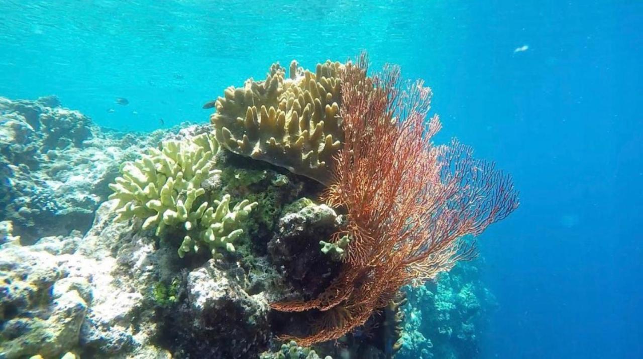 ホテル Tegal Sari, Pemuteran- North Bali エクステリア 写真