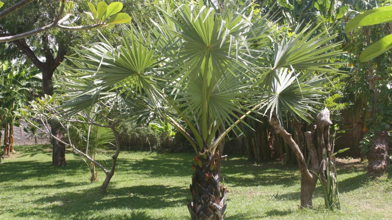 ホテル Tegal Sari, Pemuteran- North Bali エクステリア 写真