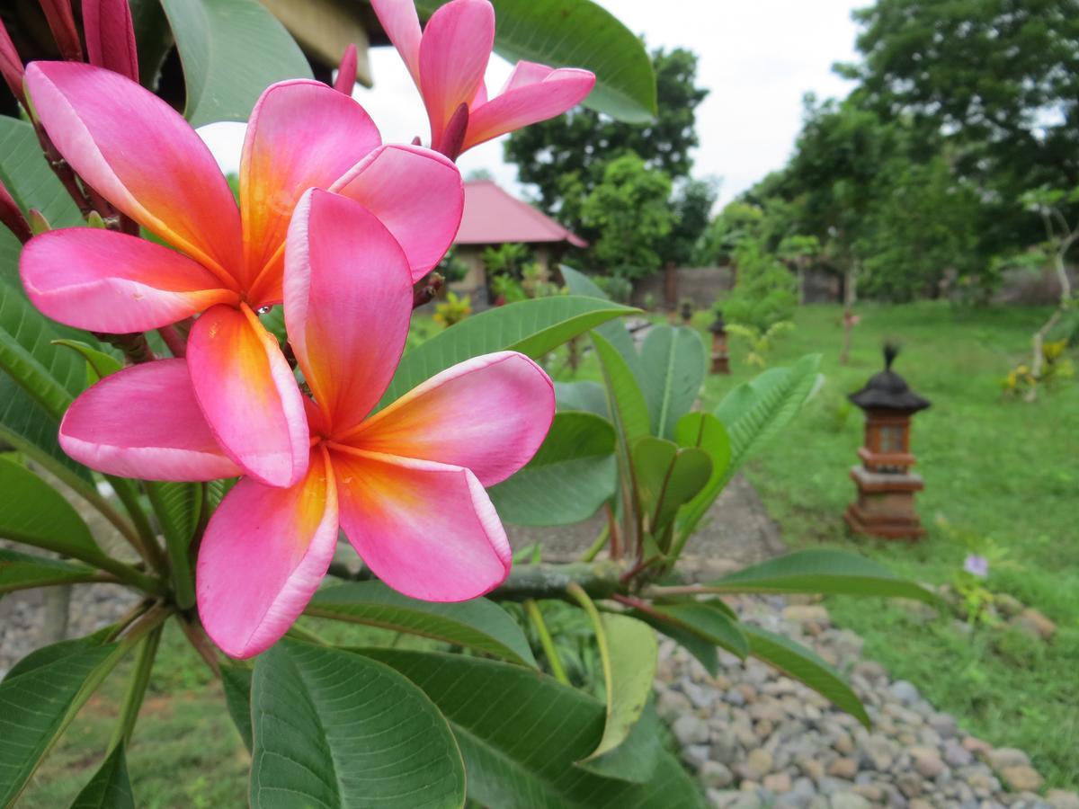 ホテル Tegal Sari, Pemuteran- North Bali エクステリア 写真