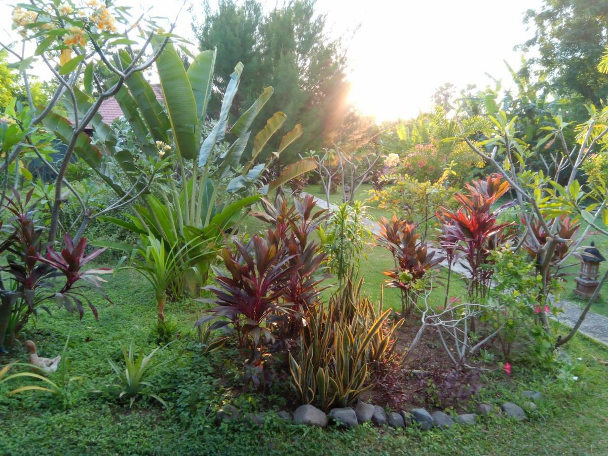 ホテル Tegal Sari, Pemuteran- North Bali エクステリア 写真