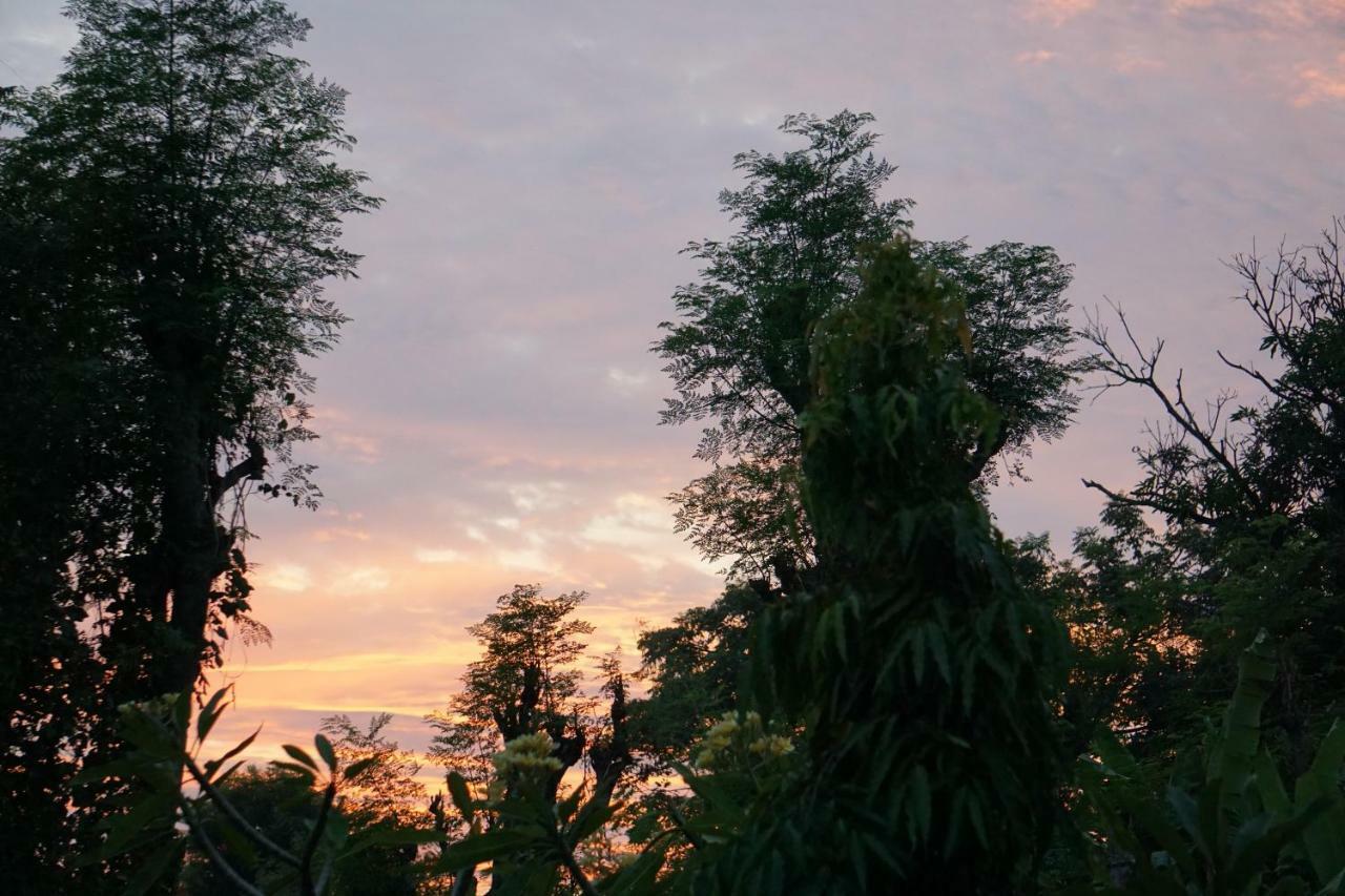 ホテル Tegal Sari, Pemuteran- North Bali エクステリア 写真