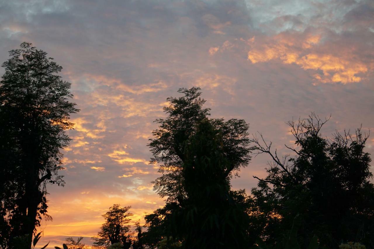 ホテル Tegal Sari, Pemuteran- North Bali エクステリア 写真