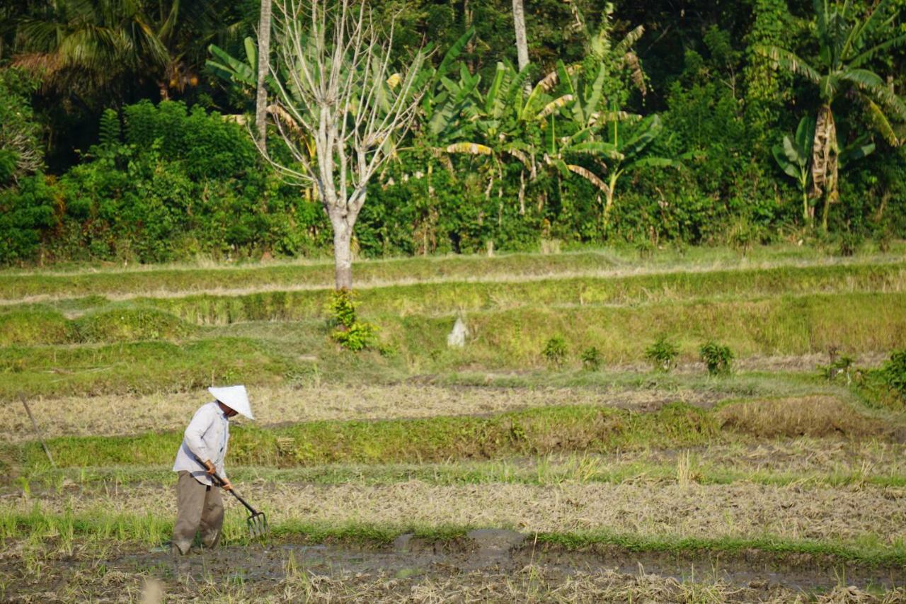 ホテル Tegal Sari, Pemuteran- North Bali エクステリア 写真