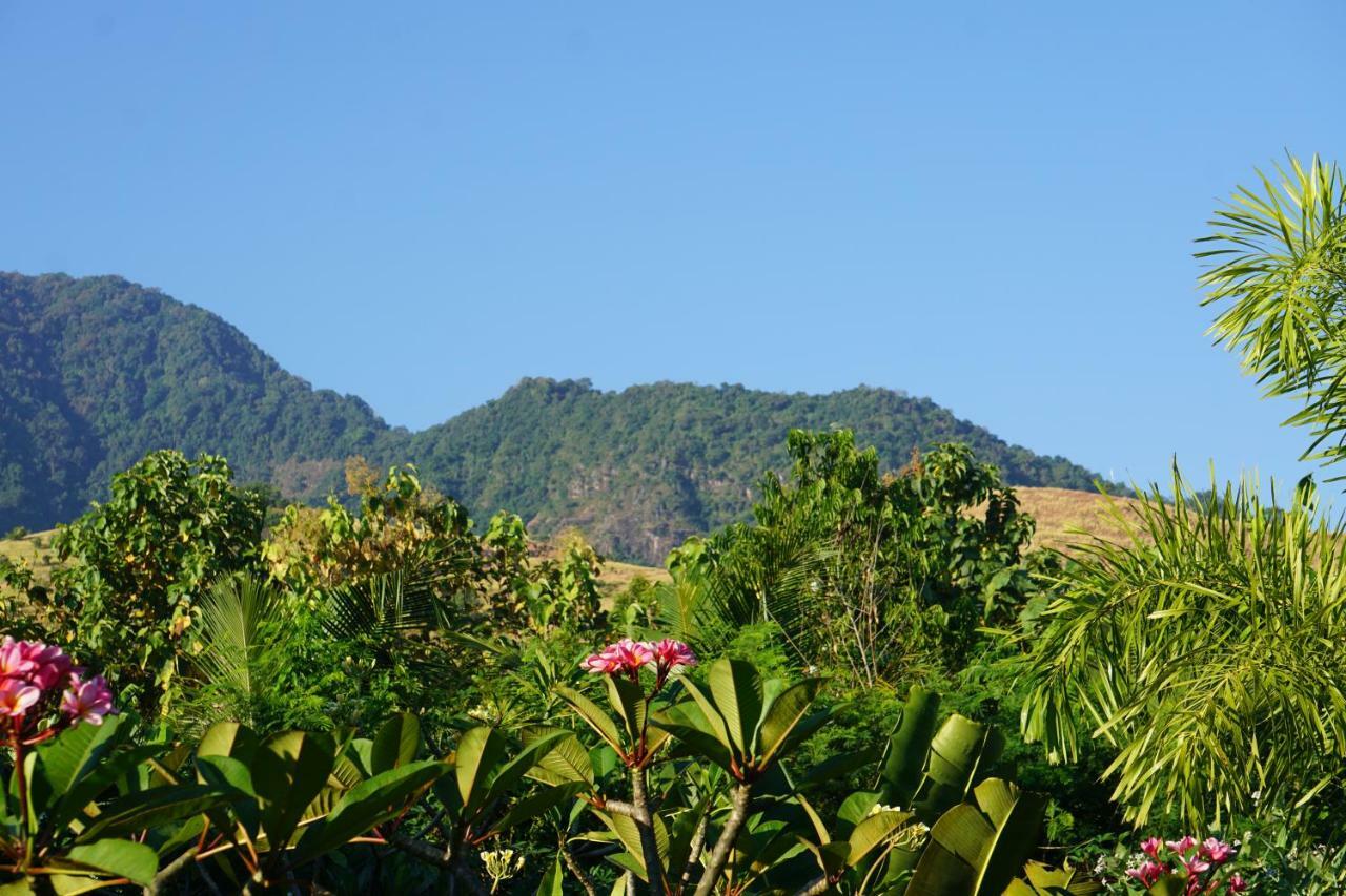 ホテル Tegal Sari, Pemuteran- North Bali エクステリア 写真