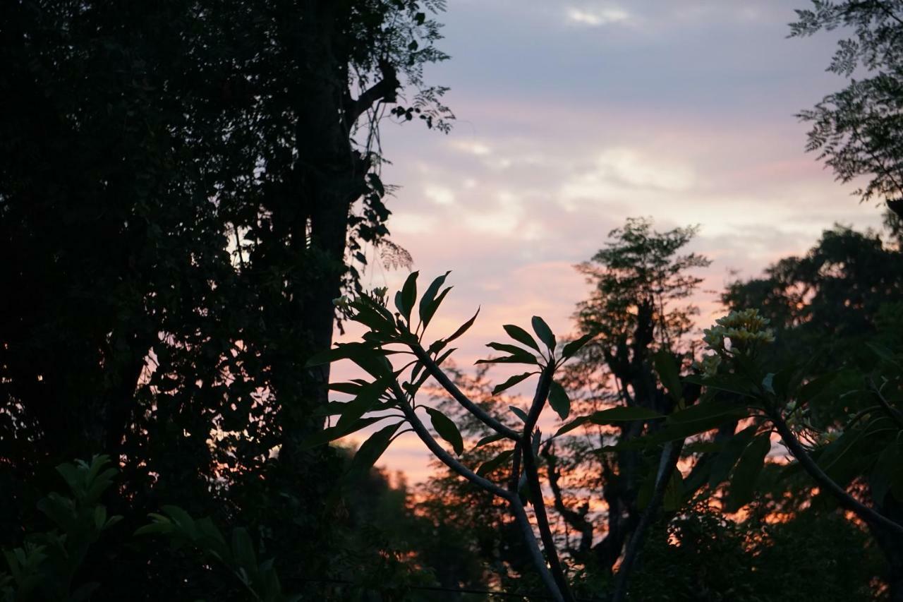 ホテル Tegal Sari, Pemuteran- North Bali エクステリア 写真