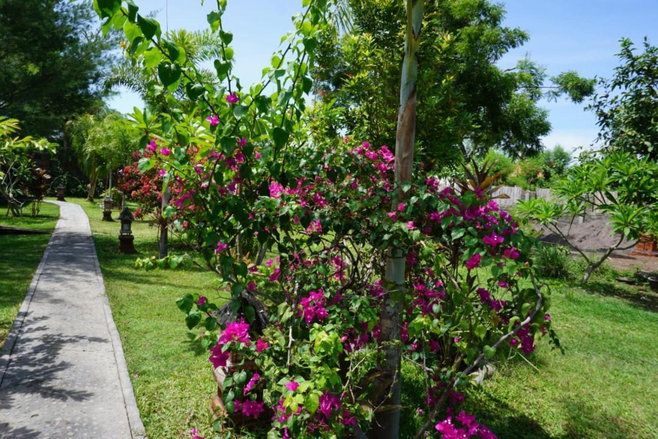 ホテル Tegal Sari, Pemuteran- North Bali エクステリア 写真